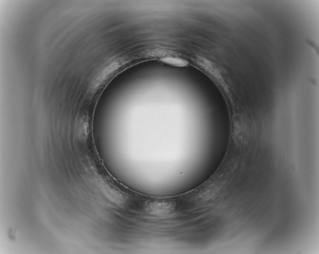 X0000103270063200808291249