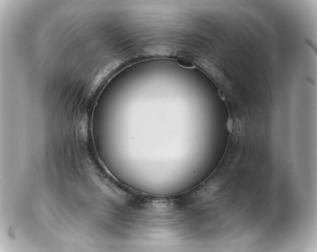 X0000103270064200808291249