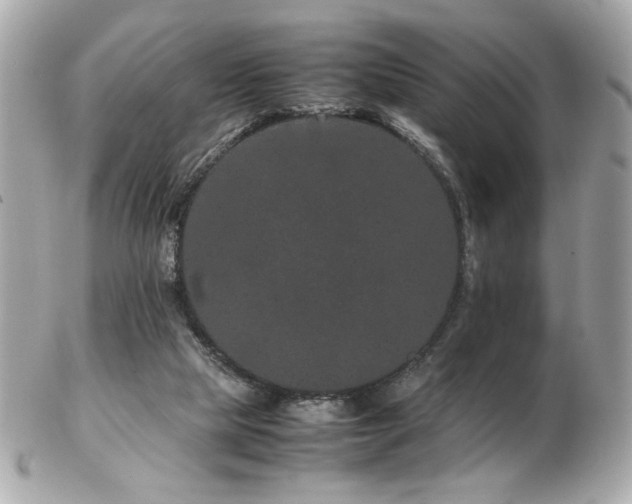 X0000103270065200808291249
