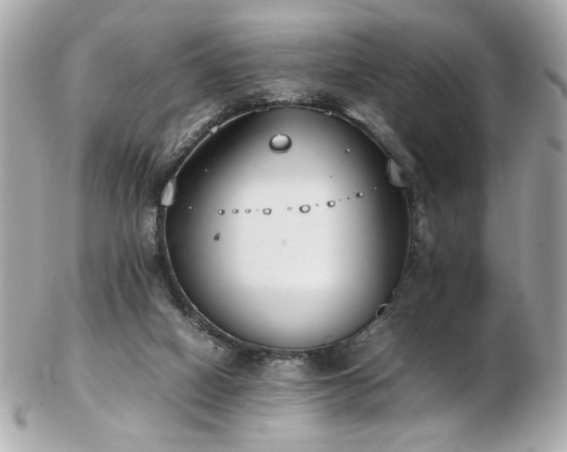 X0000103270066200808291249