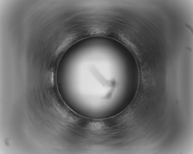 X0000103270067200808291249