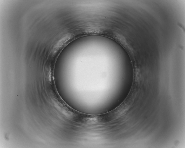 X0000103270068200808291249