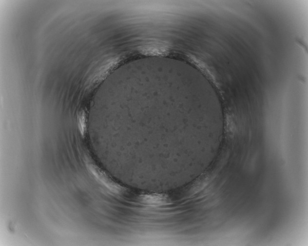 X0000103270069200808291249