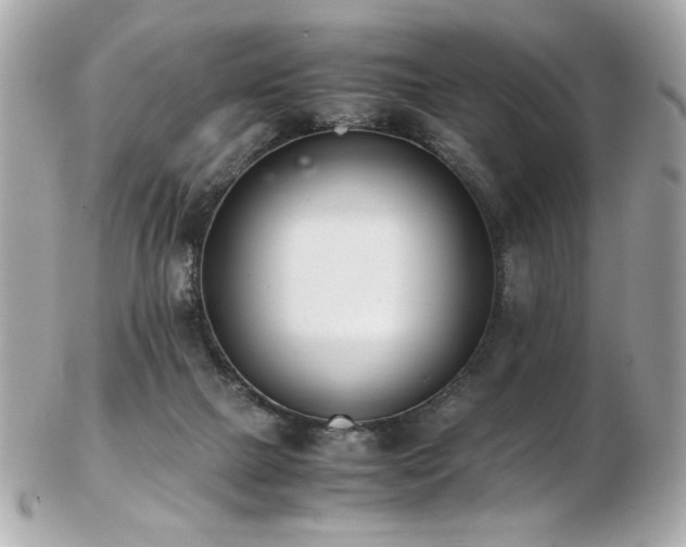 X0000103270073200808291250