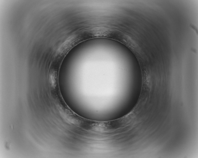 X0000103270074200808291250