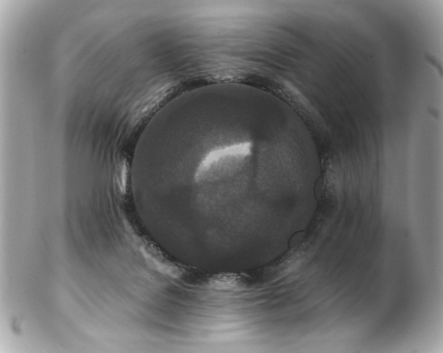 X0000103270076200808291250