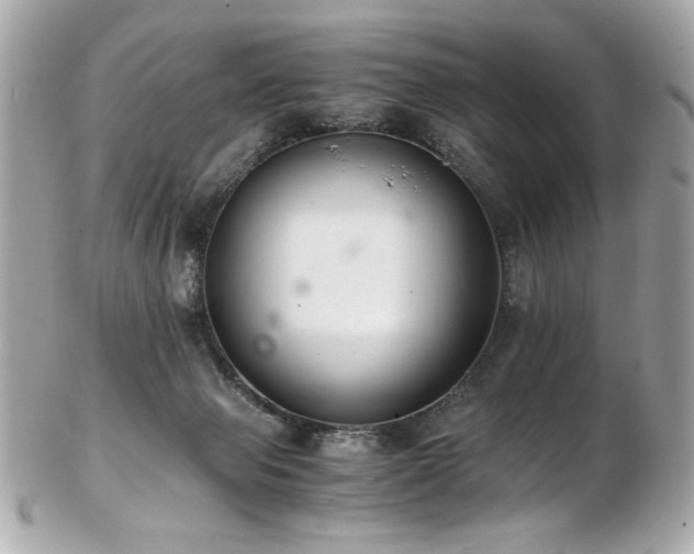 X0000103270077200808291250