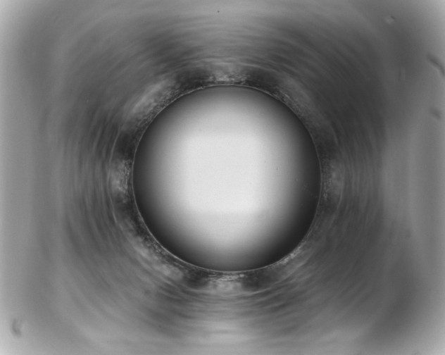 X0000103270078200808291250