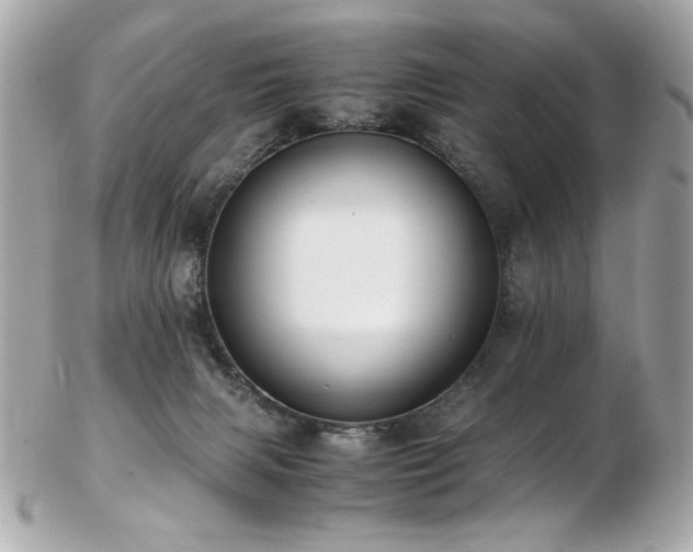 X0000103270079200808291250