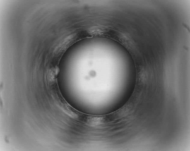 X0000103270081200808291250