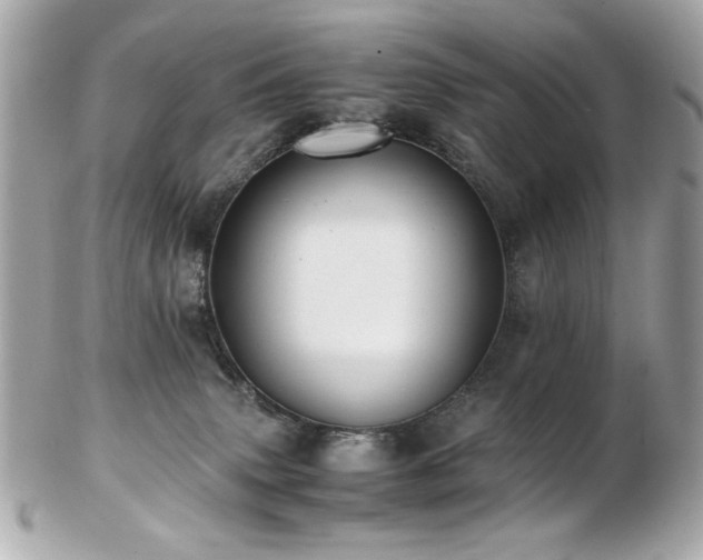 X0000103270083200808291250