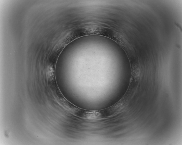 X0000103270087200808291250