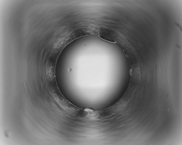 X0000103270088200808291250