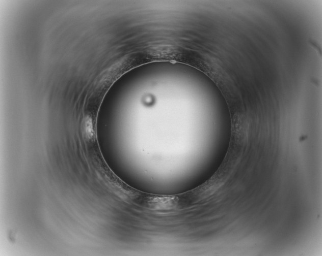 X0000103270089200808291250