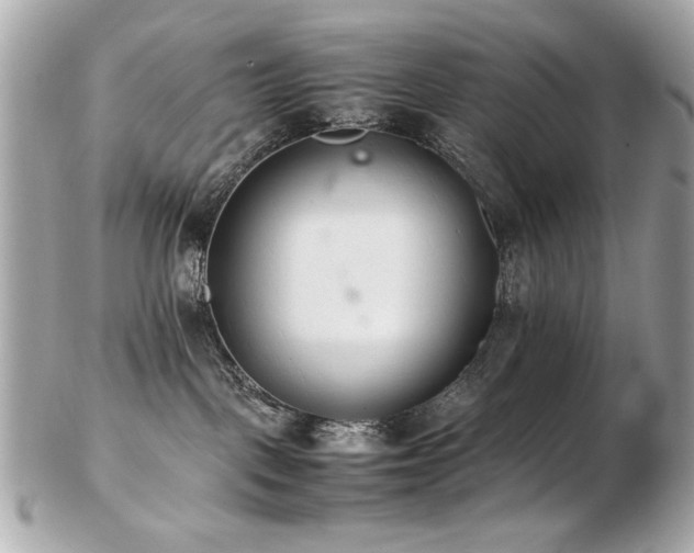X0000103270093200808291250