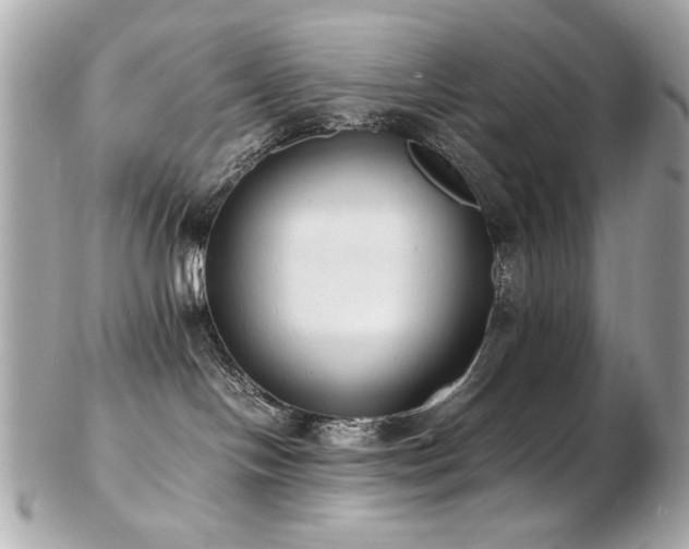 X0000103270094200808291250