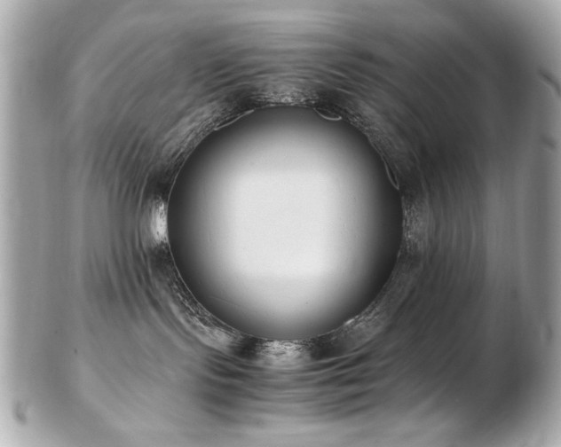 X0000103270095200808291250