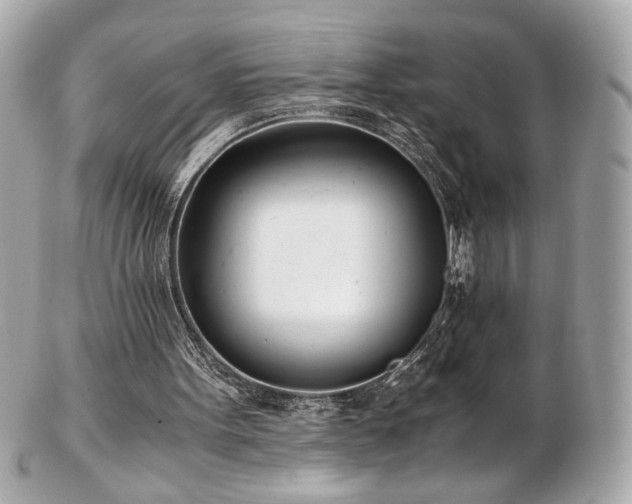 X0000103270099200808291249