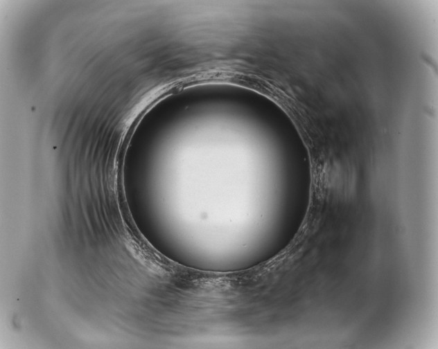 X0000103270100200808291249