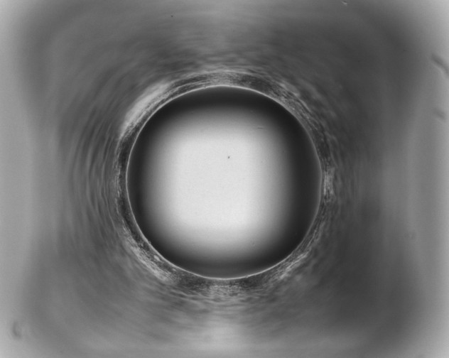 X0000103270101200808291249