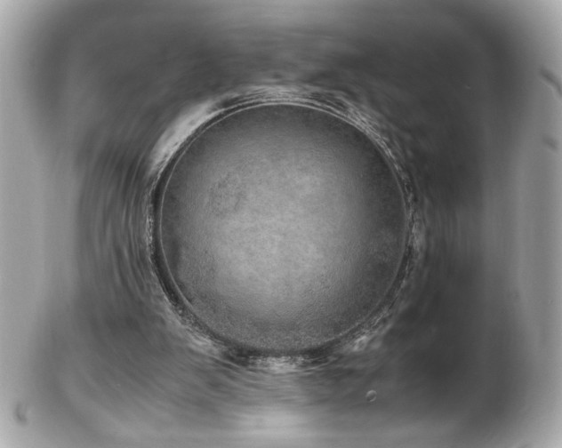 X0000103270103200808291249