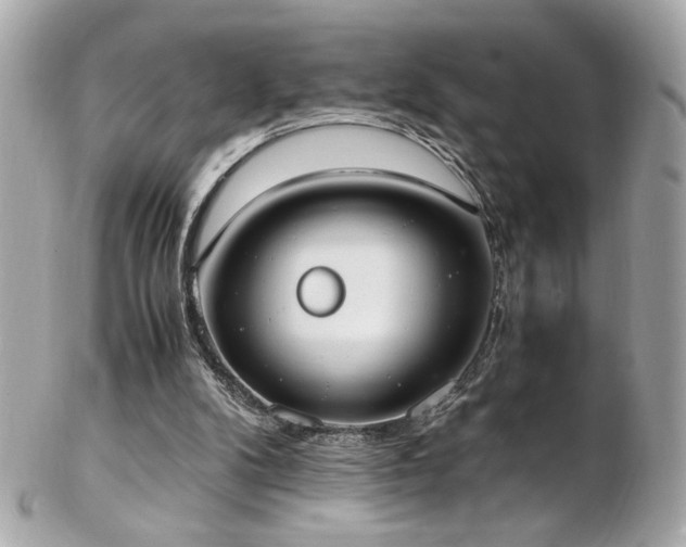 X0000103270104200808291249