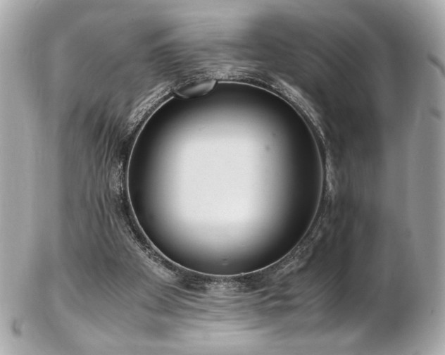 X0000103270105200808291249