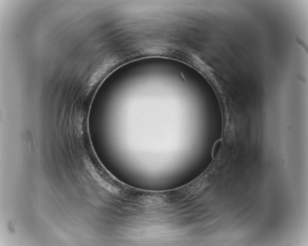 X0000103270106200808291249