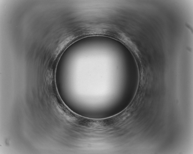 X0000103270107200808291249