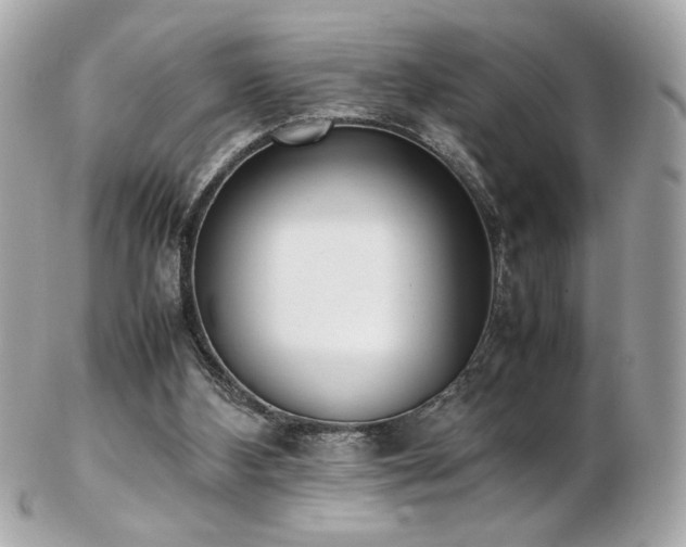 X0000103270108200808291249