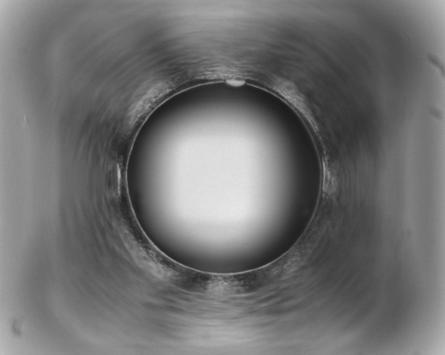 X0000103270109200808291249