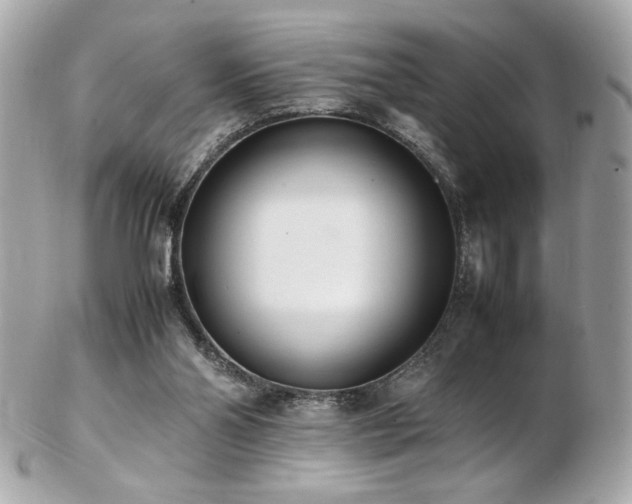 X0000103270110200808291249