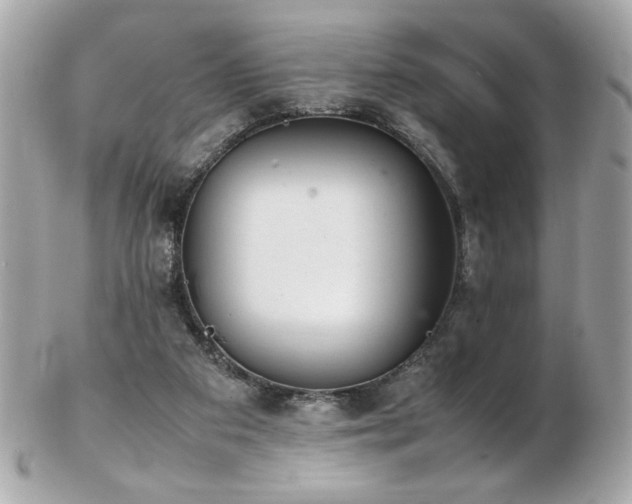 X0000103270113200808291249