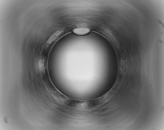 X0000103270116200808291249