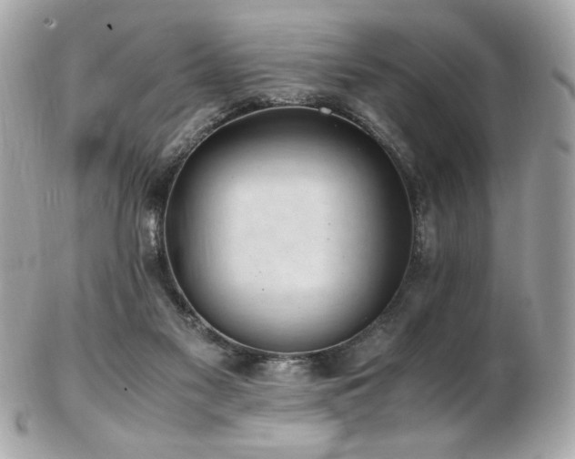 X0000103270117200808291249