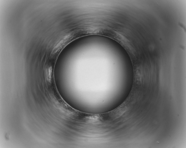 X0000103270118200808291249