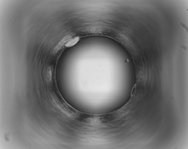 X0000103270120200808291249