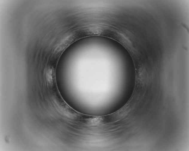 X0000103270122200808291249