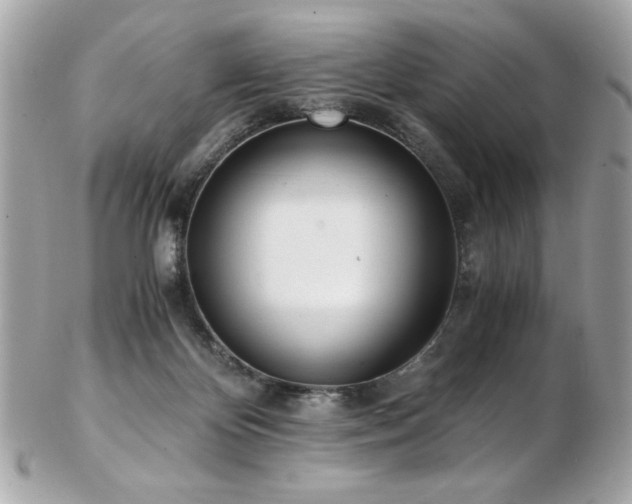 X0000103270124200808291249