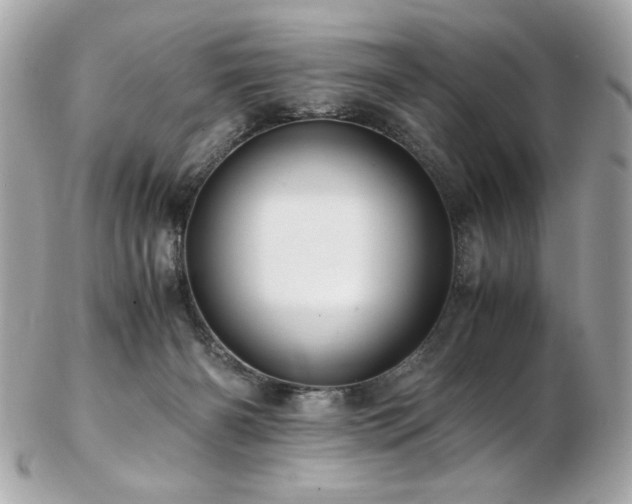 X0000103270126200808291249