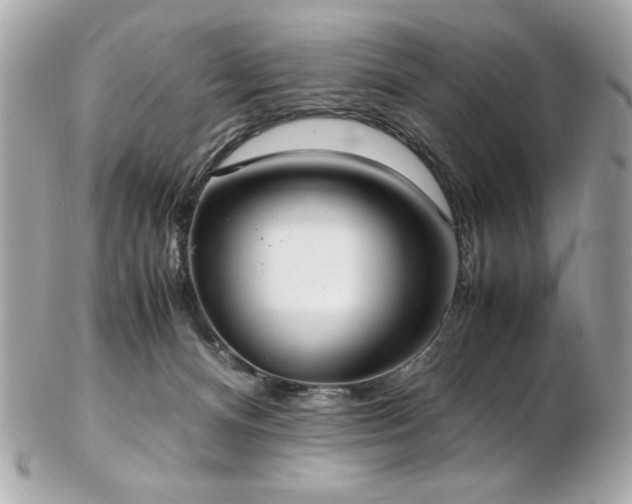 X0000103270128200808291249