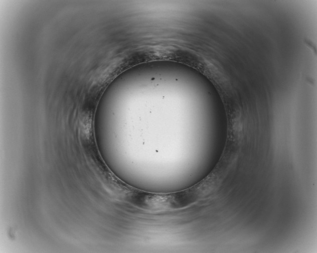 X0000103270129200808291249