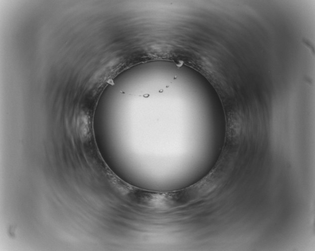 X0000103270130200808291249