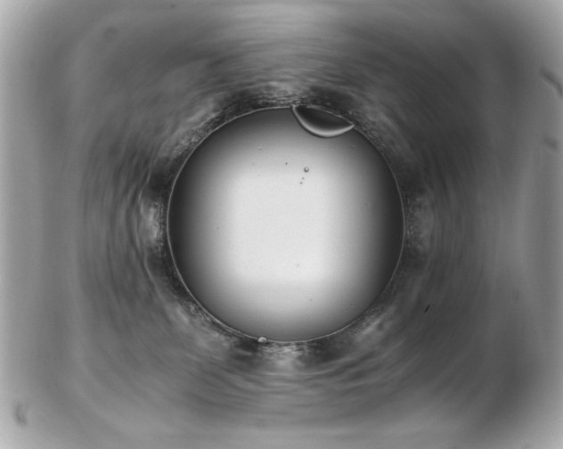 X0000103270131200808291249