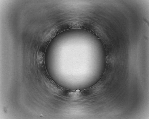 X0000103270133200808291249