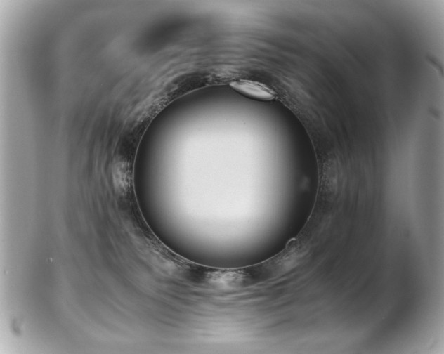 X0000103270135200808291249
