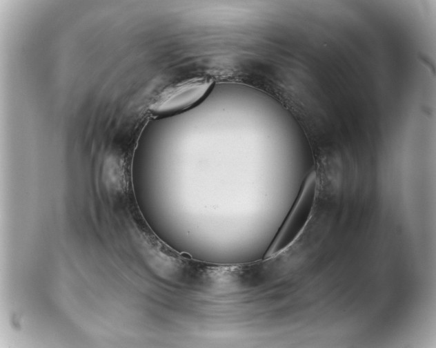 X0000103270136200808291249