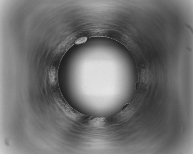 X0000103270138200808291249