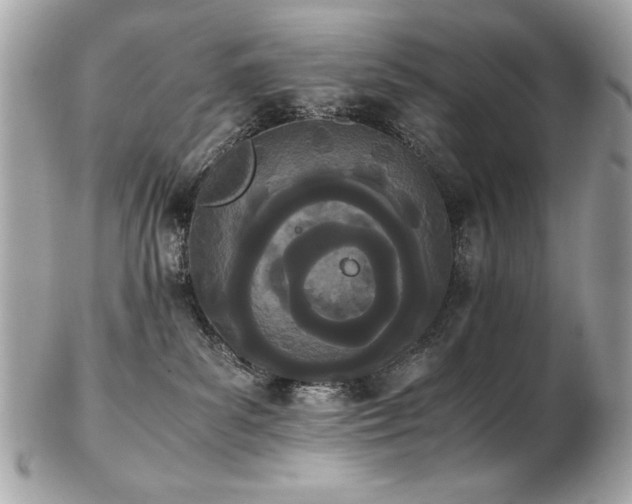 X0000103270139200808291249