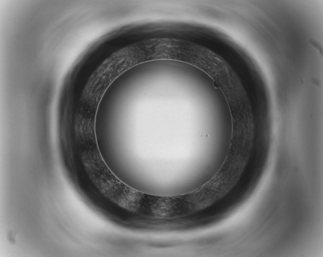 X0000103270142200808291249